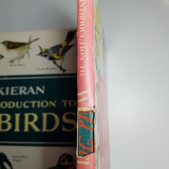 Rare 3 book set by John Kieran. An Intro to Nature. Birds, Wildflowers, Trees - Picture 6 of 11